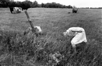Esther Dellenbaugh, Kansas, 1980