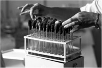 Anthrax, the plague, and a host of other biological specimens.